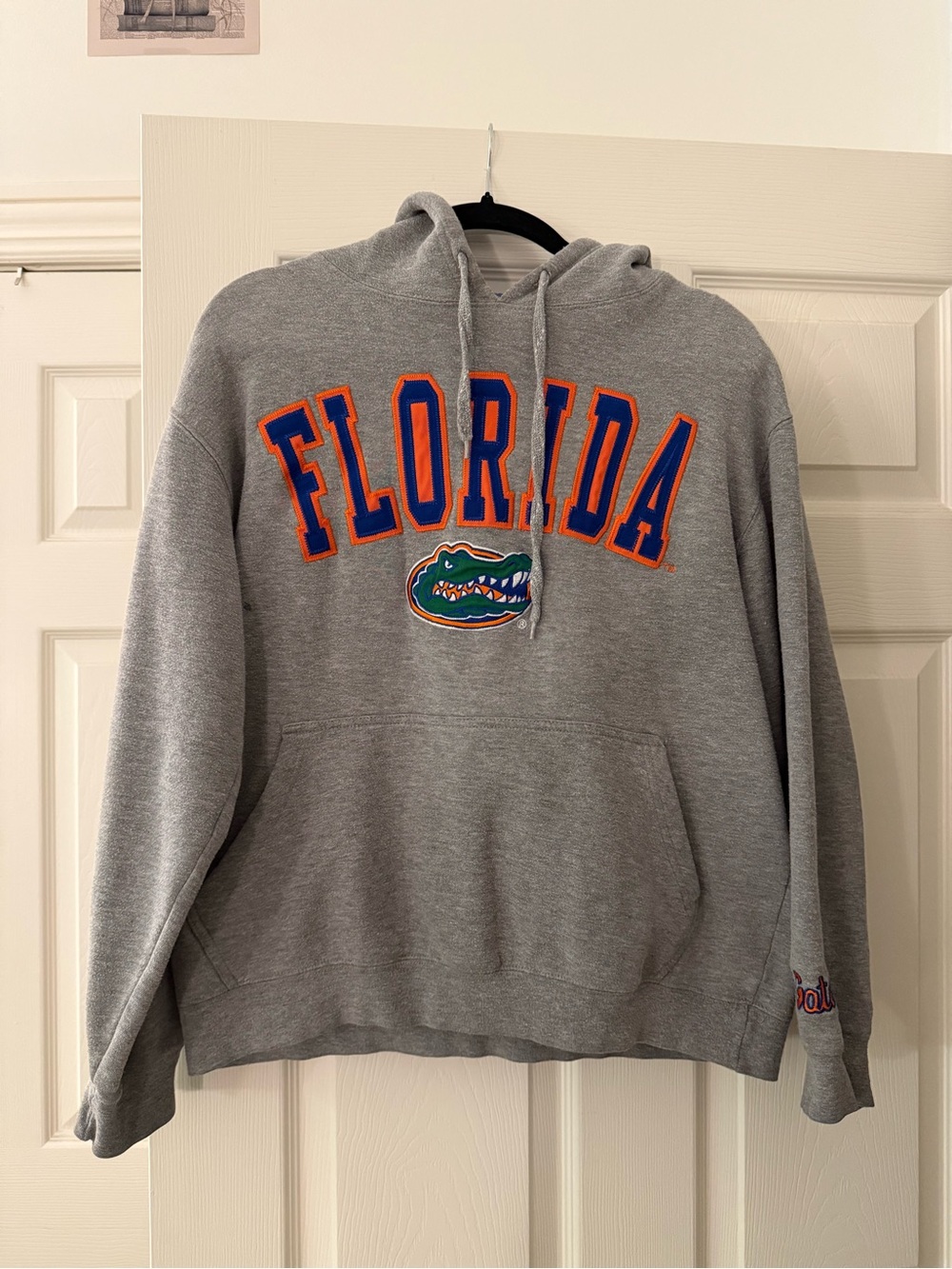Florida Gators Gray Hoodie Sweatshirt